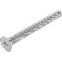 Screw, Csk Socket M10 x 40mm SS( 100 pk)