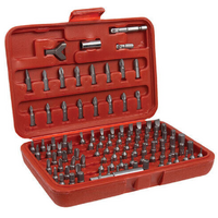 Alpha Security Bit Set 100 Piece