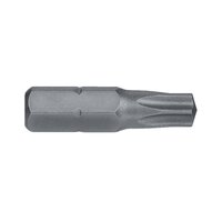 Alpha Torx Bit 30 x 25mm